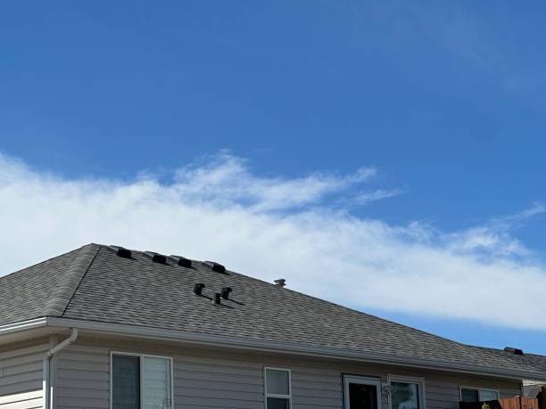 Best Solar Panel Roofing Installation  in Kingston Springs, TN